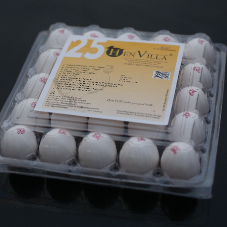HENS VILLA WHITE GOLD 25 PCS