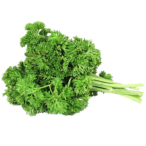 PARSLEY CURLY 50 GM