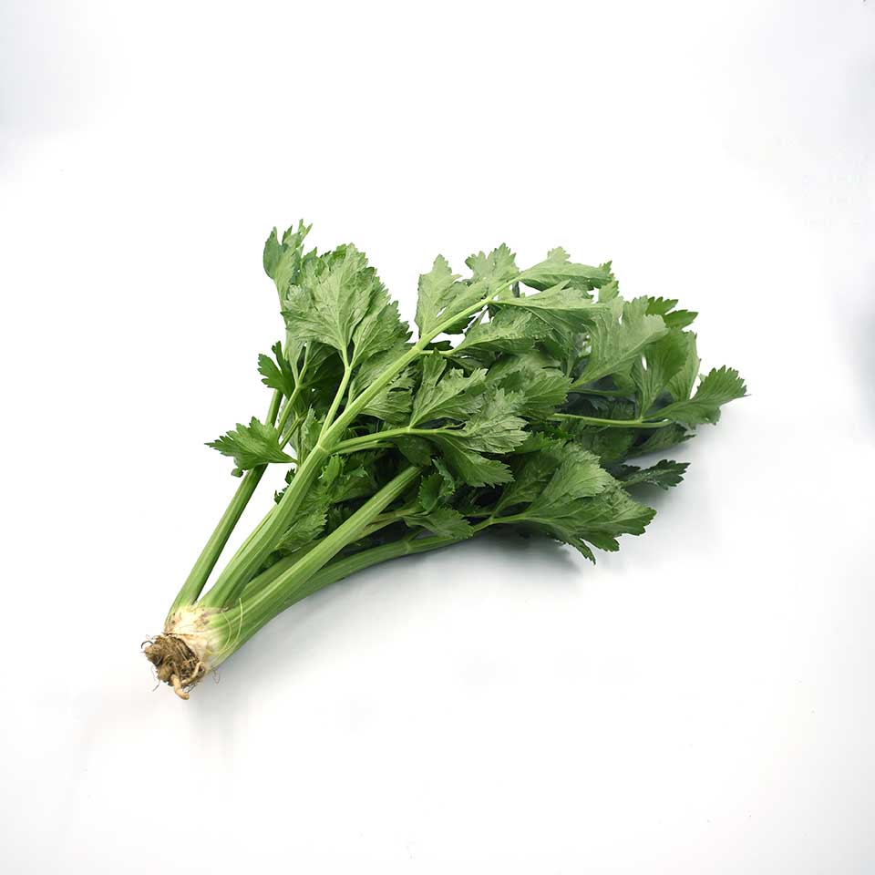 KRISHI CRESS CELERY