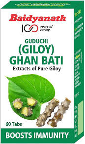 BAIDYANATH GUDUCHI(GILOY GHANBATI) IMPROVES IMMUNITY 24G - SuperMarcheStore