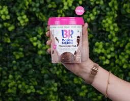 BASKIN ROBIN MISSISSIPPI MUD VEGAN 450 ML - SuperMarcheStore