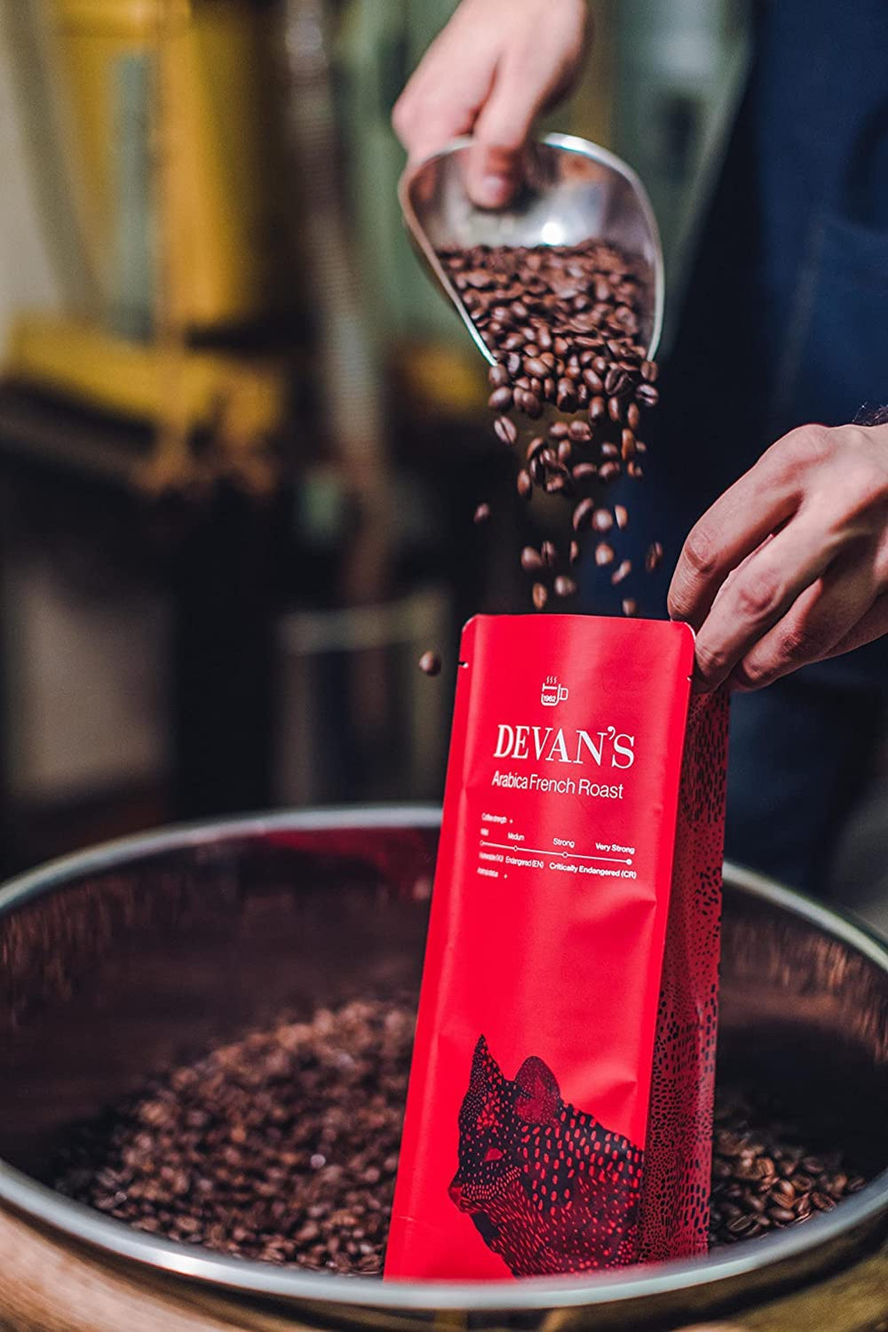 DEVANS ARABICA FRENCH ROATS BEANS 500 GM - SuperMarcheStore