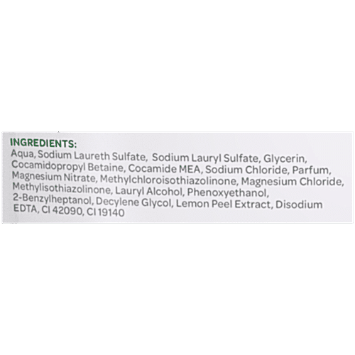 GODREJ PROTEKT GERM FIGHT HANDWASH LIME & EUCALYPTUS 725 ML - SuperMarcheStore