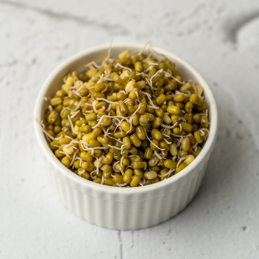 TBH MOONG BEAN SPROUTS 95G - SuperMarcheStore
