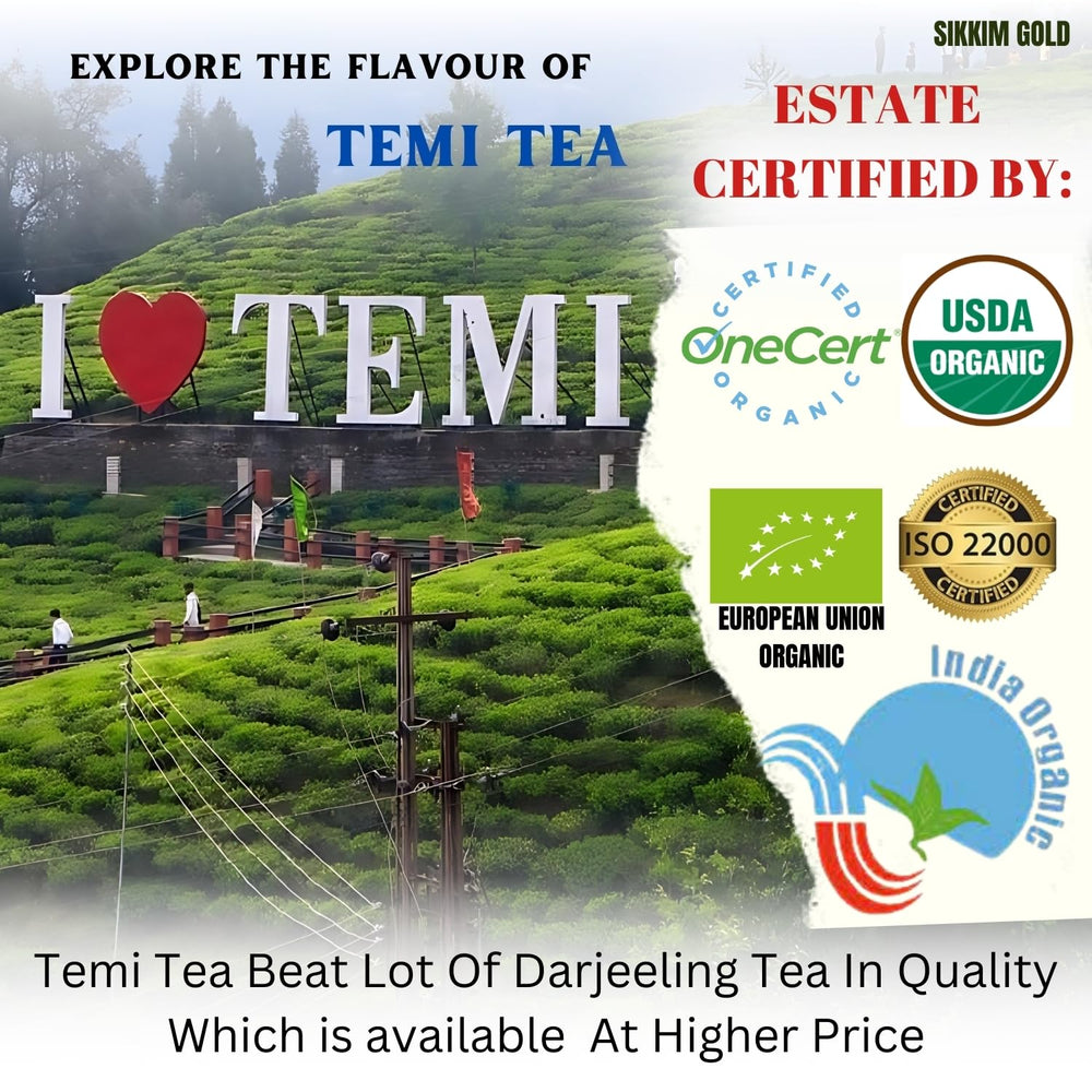 TBM TEMI SIKKIM 1ST FLUSH LOOSE - SuperMarcheStore
