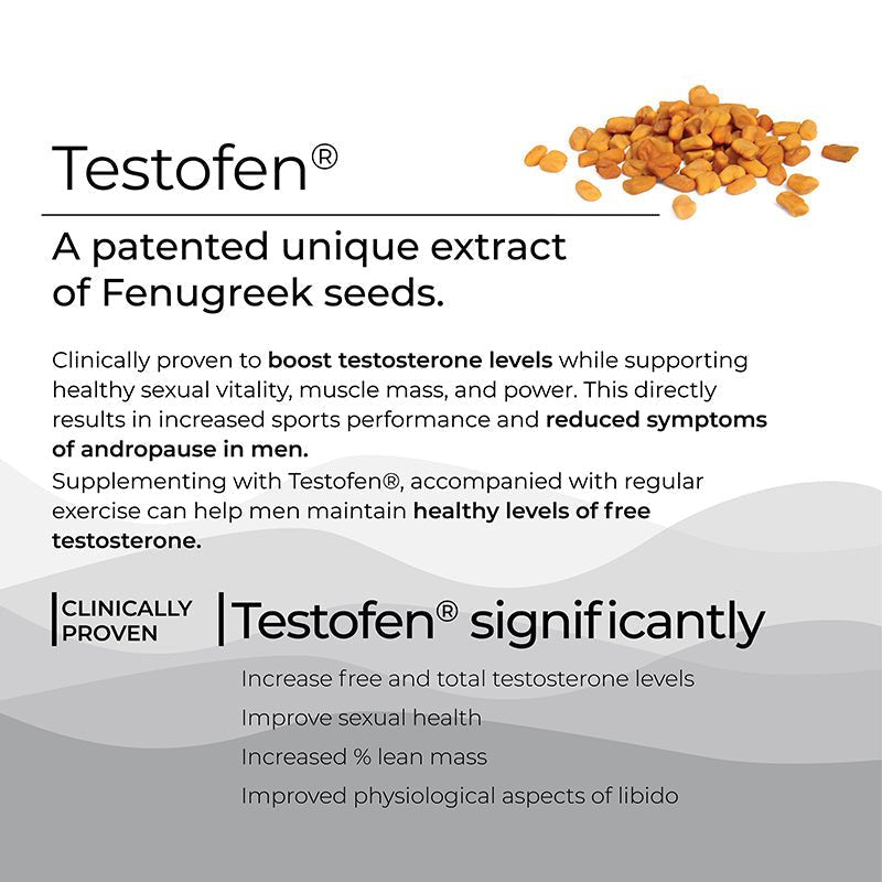 WELLBEING NUTRITION TESTO POWER - SuperMarcheStore