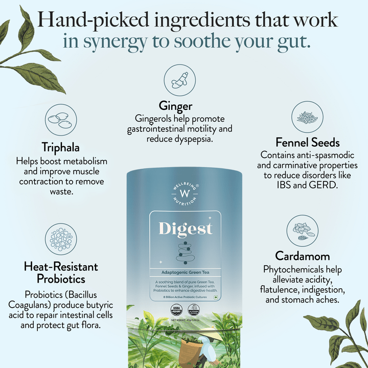WELLBIENG DIGEST ADAPTOGENIC GREEN TEA - SuperMarcheStore