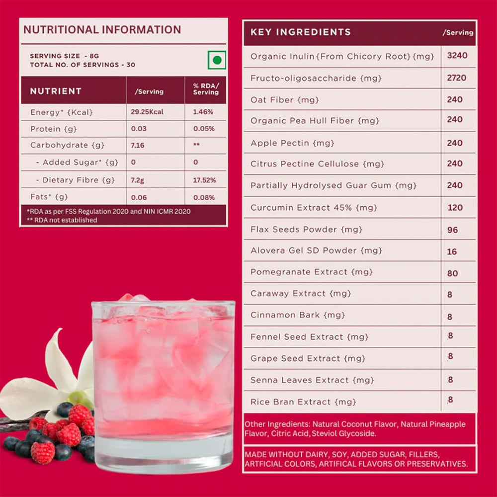 WELLBRING DAILY FIBER VANILLA BERRY MRP 999 - SuperMarcheStore