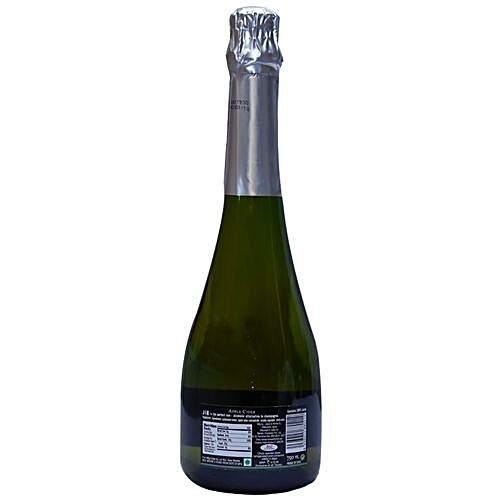 J&W CARBONATED APPLE BEVER5AGE
