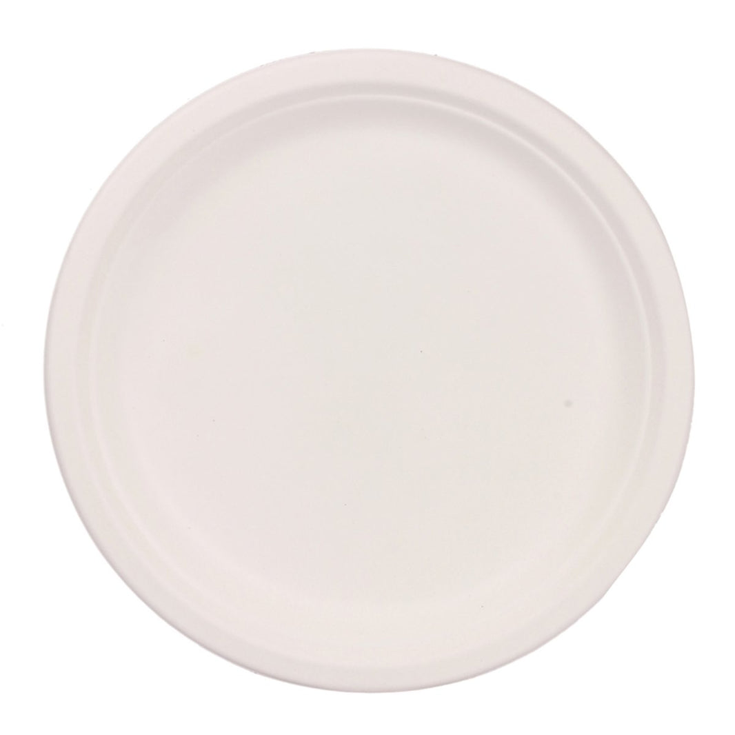 PAPPCO GREEN WARE LARGE ROUND PLATE 10N