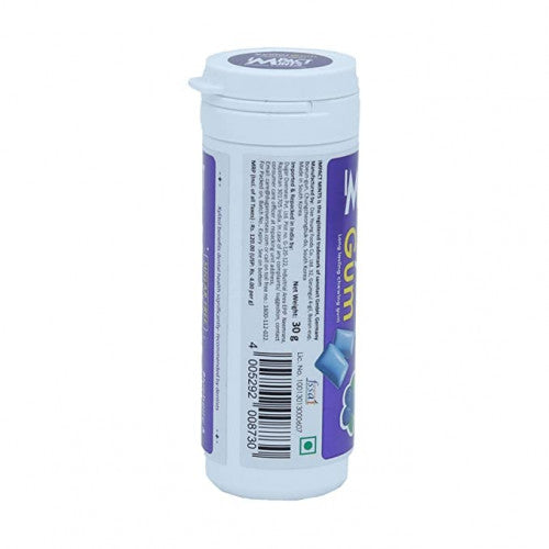 IMPACT MINTS XYLITOL GUMS SF BLUEBERRY & MINT FLAVR 30 GM