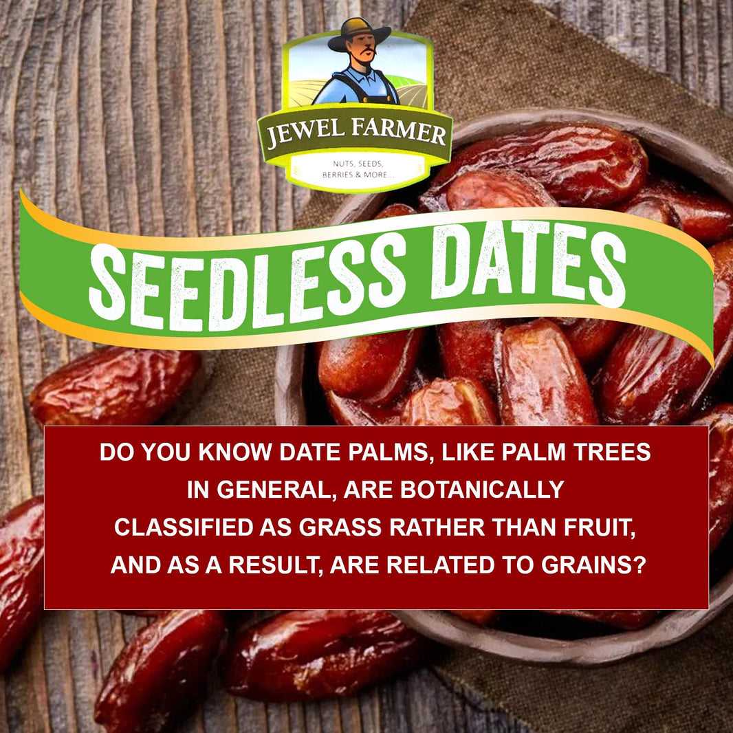 SEEDLESS DATES 400G