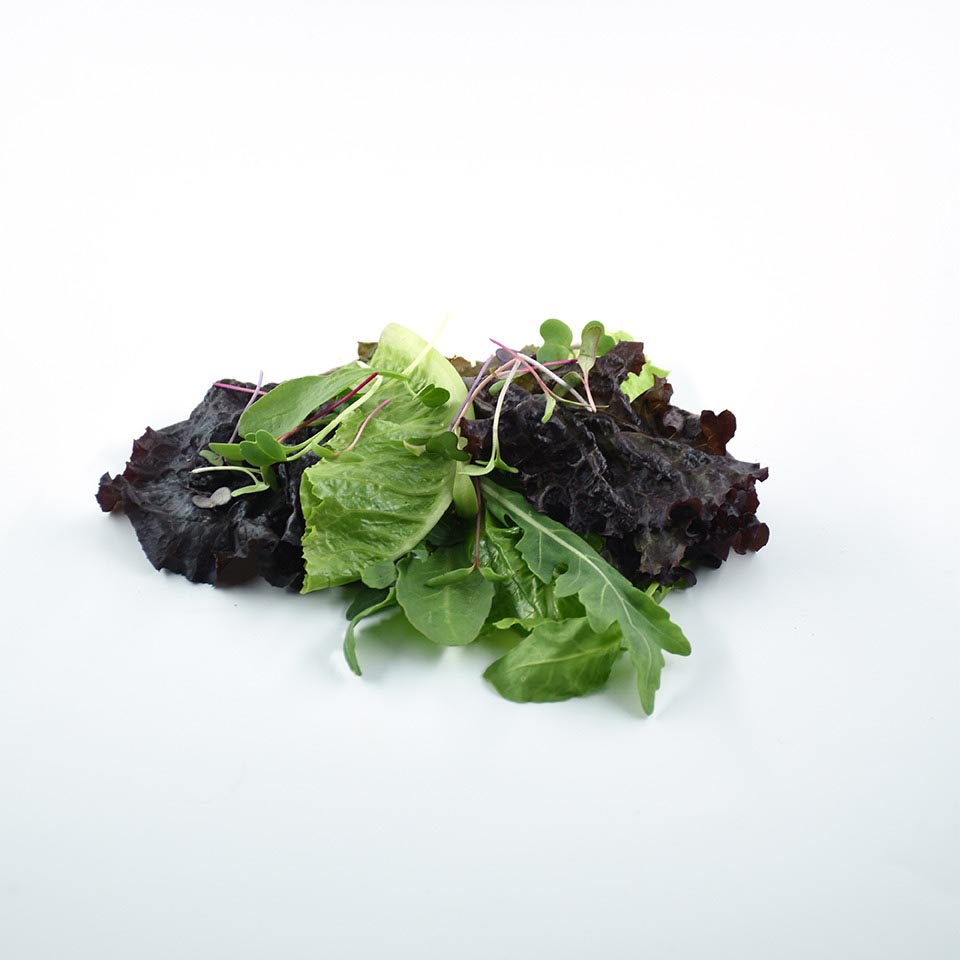 KRISHI CRESS SALAD MIX WITH  MICROGREENS