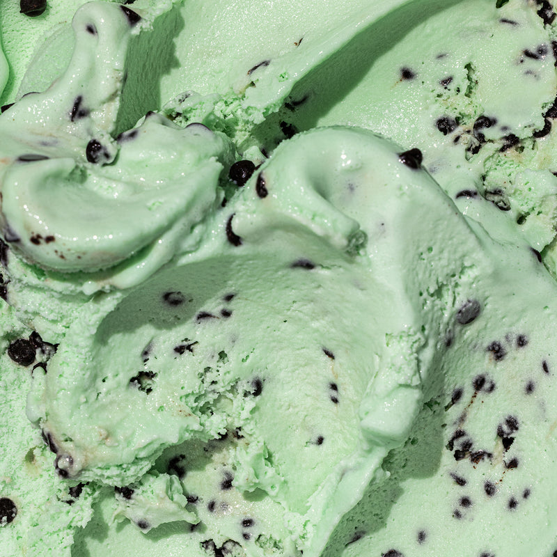 MINT CHOCOLATE CHIP VEGAN & SUGAR FREE 500ML