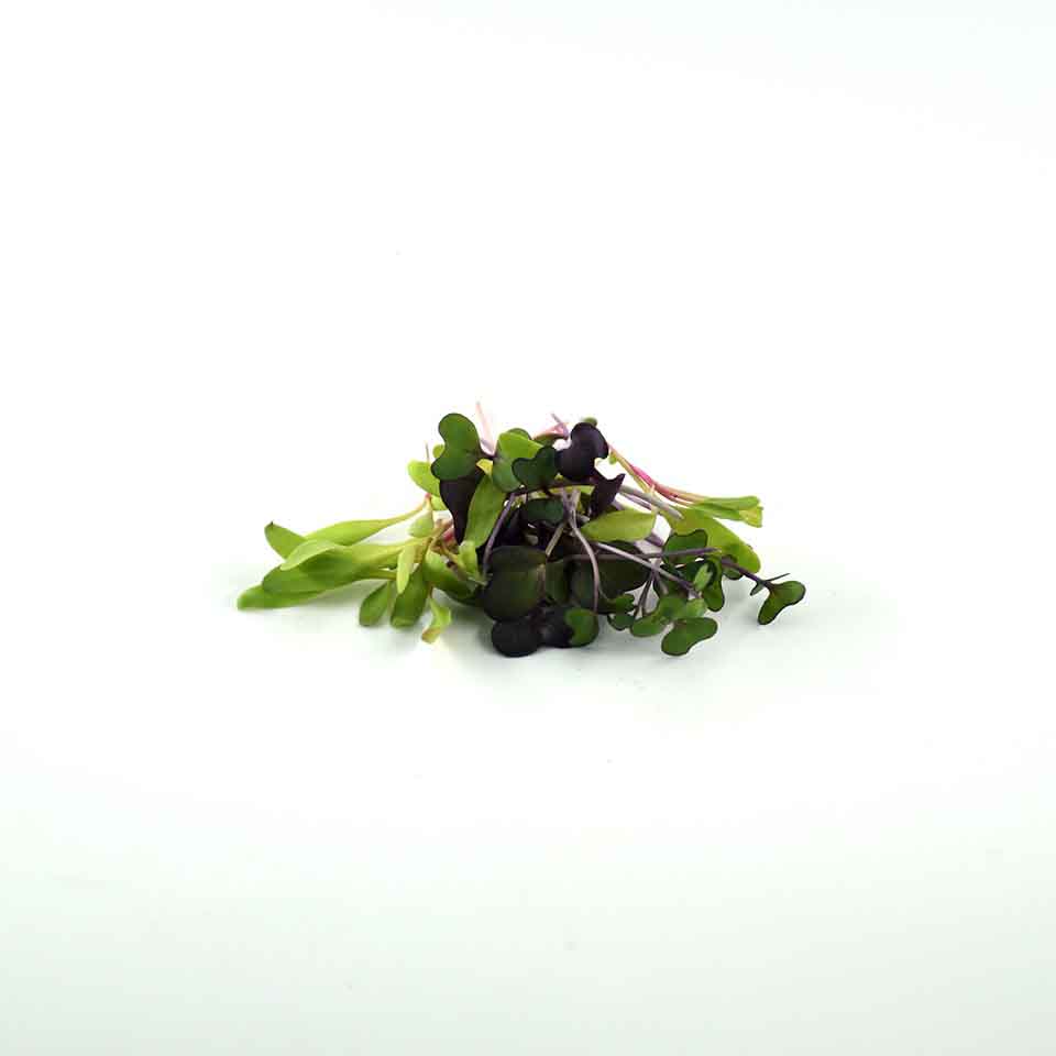 KRISHI  CRESS MICROGREEN MIX