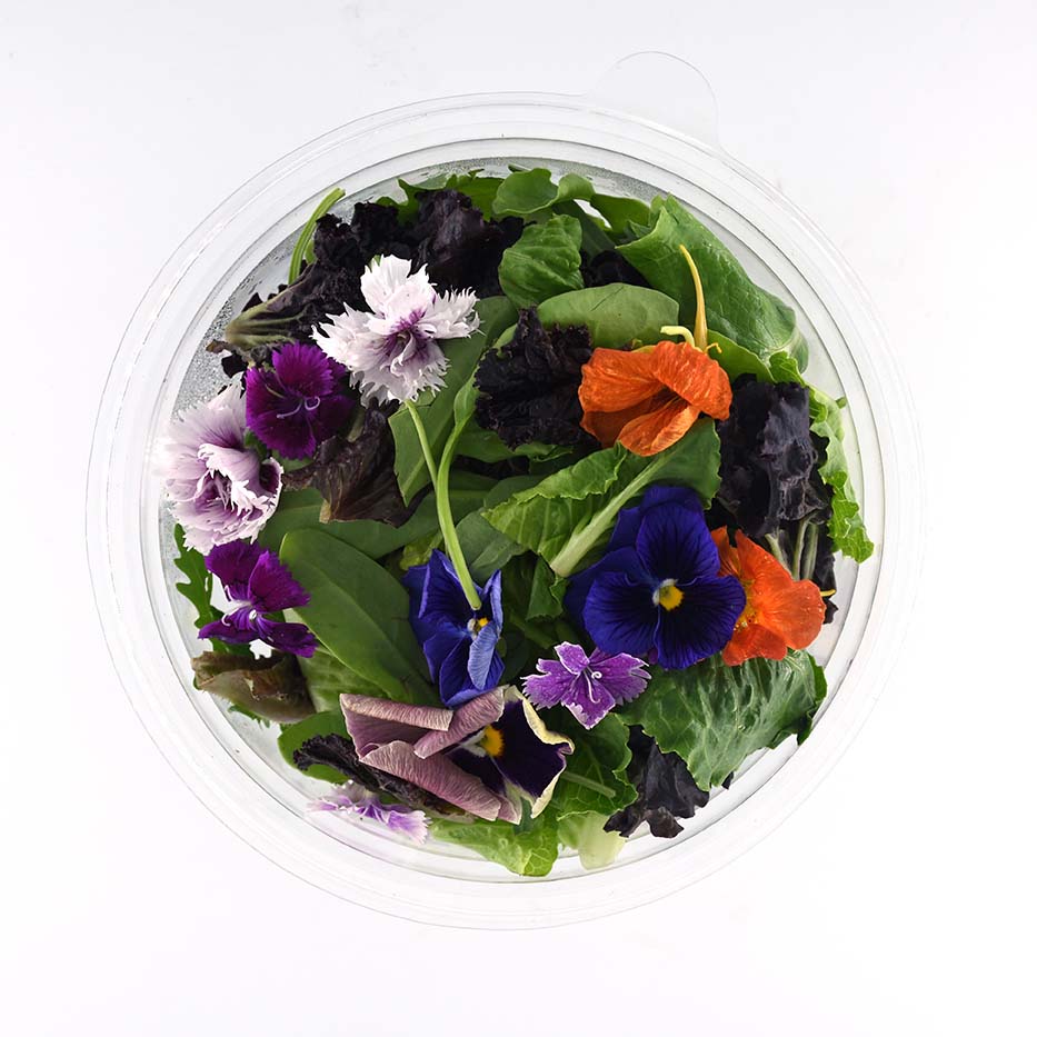 KRISHI CRESS EDIBLE FLOWERS