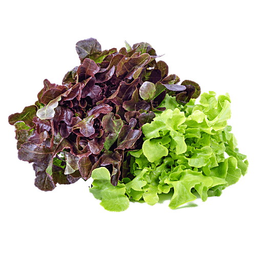 BABY LEAVES MIX - SuperMarcheStore