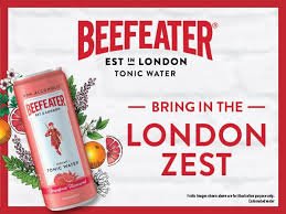 BEEFEATER TONIC GRAPEFRUIT WATER 250 ML - SuperMarcheStore