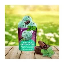 BR MINT MILK CHOCOLATE CHIP 450ML - SuperMarcheStore