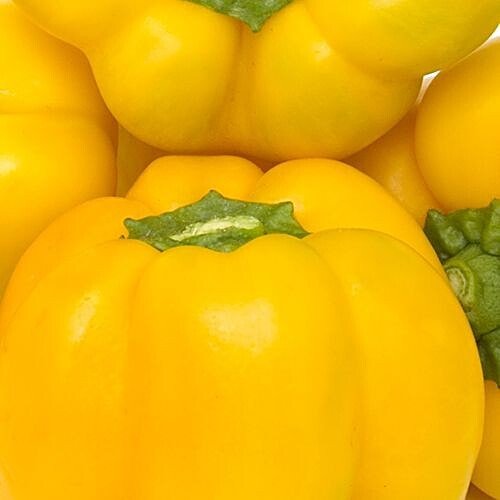 CAPSICUM (YELLOW) - SuperMarcheStore