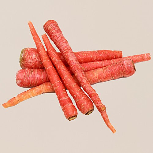 CARROT - SuperMarcheStore