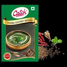 CATCH PUDINA CHUTNEY MASALA - SuperMarcheStore