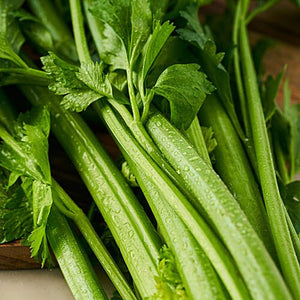 CELERY - SuperMarcheStore