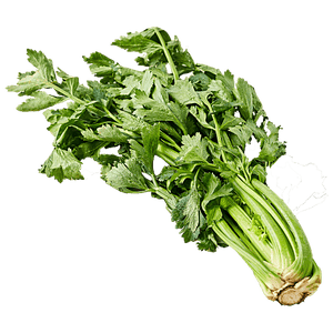 CELERY - SuperMarcheStore