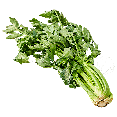 CELERY - SuperMarcheStore