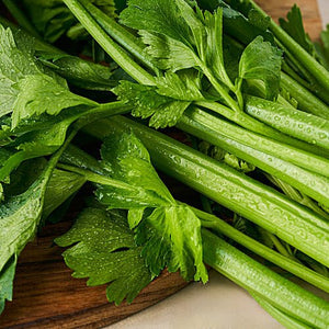 CELERY - SuperMarcheStore