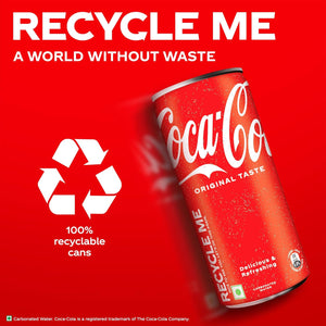 COCA COLA 300ML CAN 35 REGULAR - SuperMarcheStore
