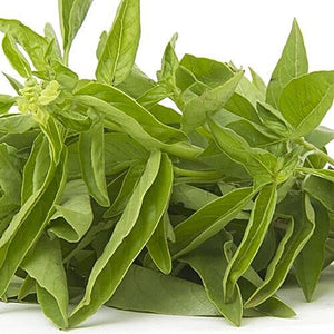 FRESH BASIL ( MIX) - SuperMarcheStore