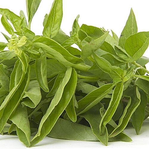FRESH BASIL ( MIX) - SuperMarcheStore