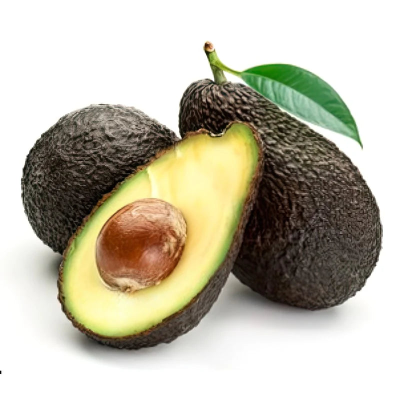 AVOCADO HASS