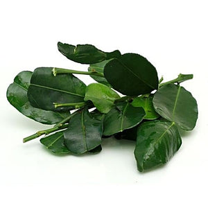 KAFIR LIME LEAVES - SuperMarcheStore