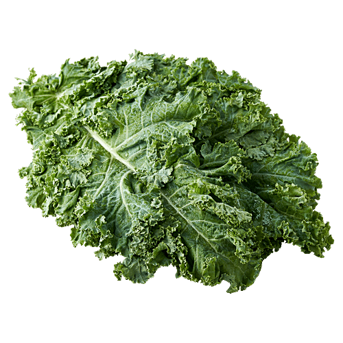 KALE ( MIX) - SuperMarcheStore
