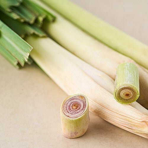 LEMON GRASS - SuperMarcheStore