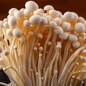 MASHROOM (ENOKI) - SuperMarcheStore