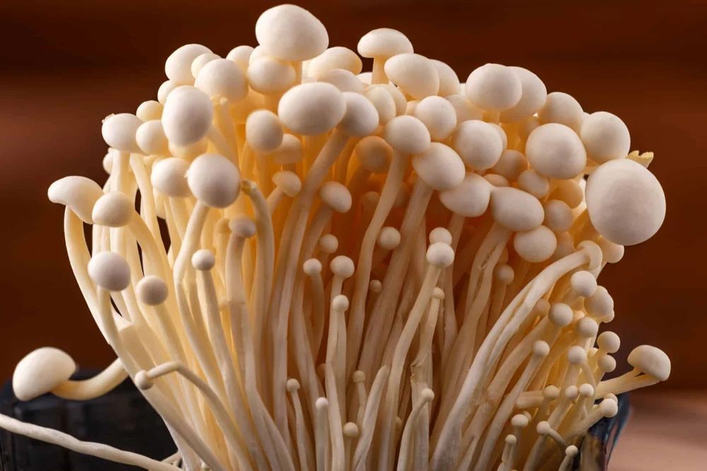 MASHROOM (ENOKI) - SuperMarcheStore