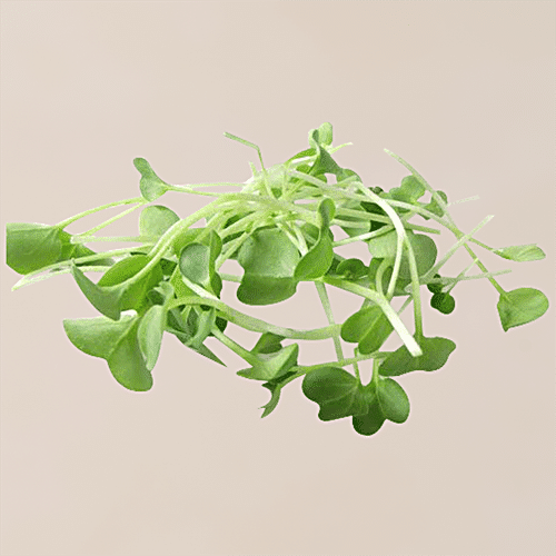 MICROGREENS - SuperMarcheStore