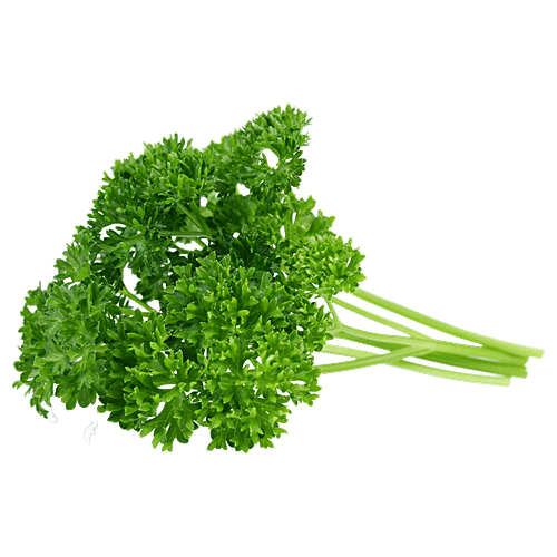 PARSLEY ( CURLY) - SuperMarcheStore