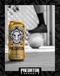 PREDATOR ENERGY 300 ML - SuperMarcheStore