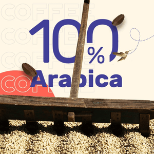 SLEEEPY OWL HOT BREW CARAMEL 10*10 - SuperMarcheStore
