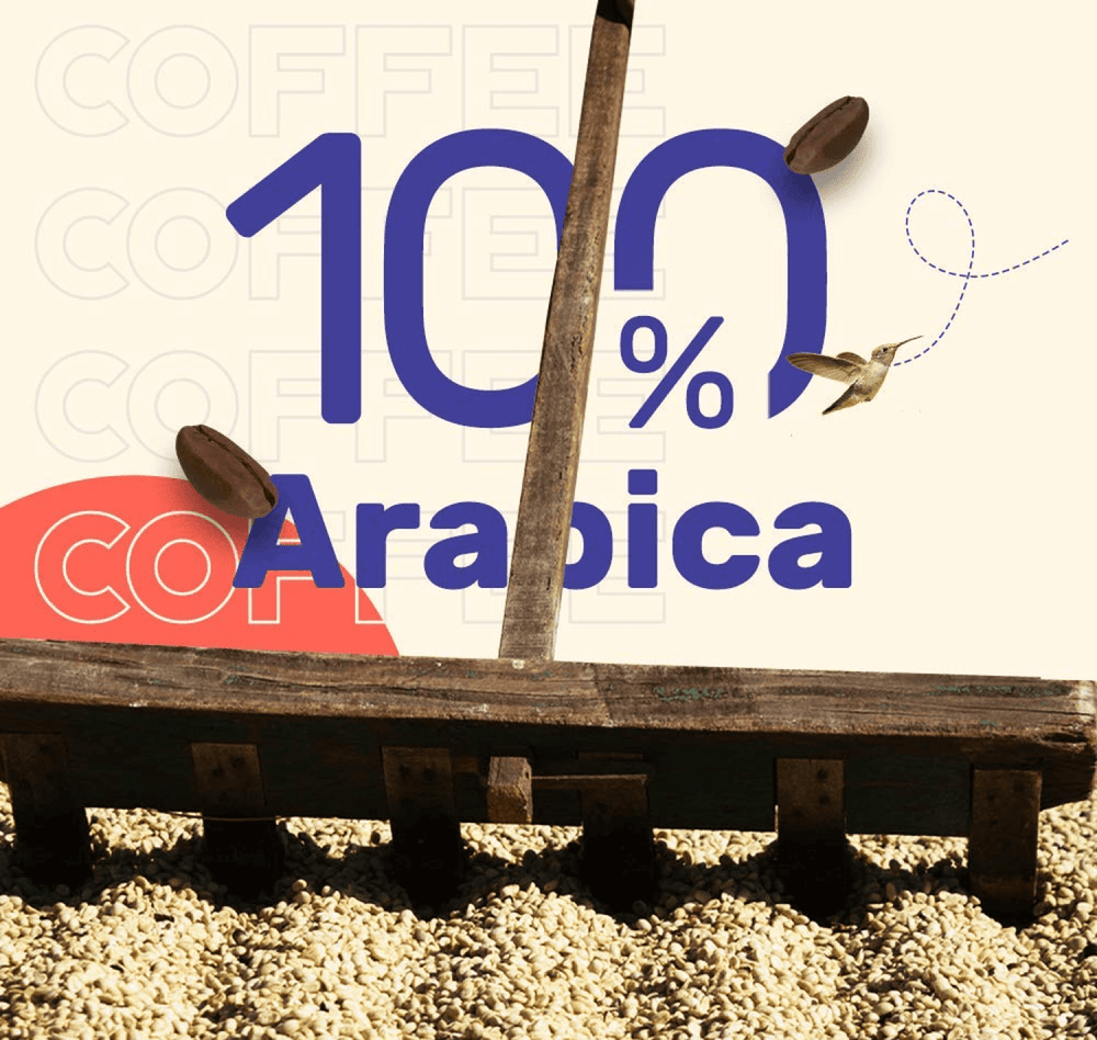SLEEEPY OWL HOT BREW CARAMEL 10*10 - SuperMarcheStore