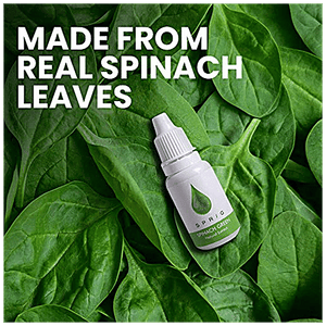 SPRIG FOOD COLOUR SPINACH GREEN BX 15ml - SuperMarcheStore