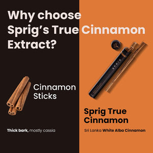 SPRIG TRU CINNAMON BT 4P - SuperMarcheStore