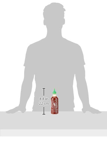 SRIRACHA HOT CHILLI SAUCE 455ML - SuperMarcheStore