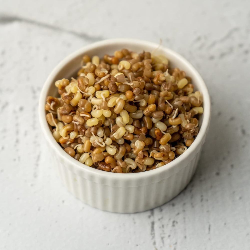 TBH MOTH BEAN SPROUTS 95G - SuperMarcheStore