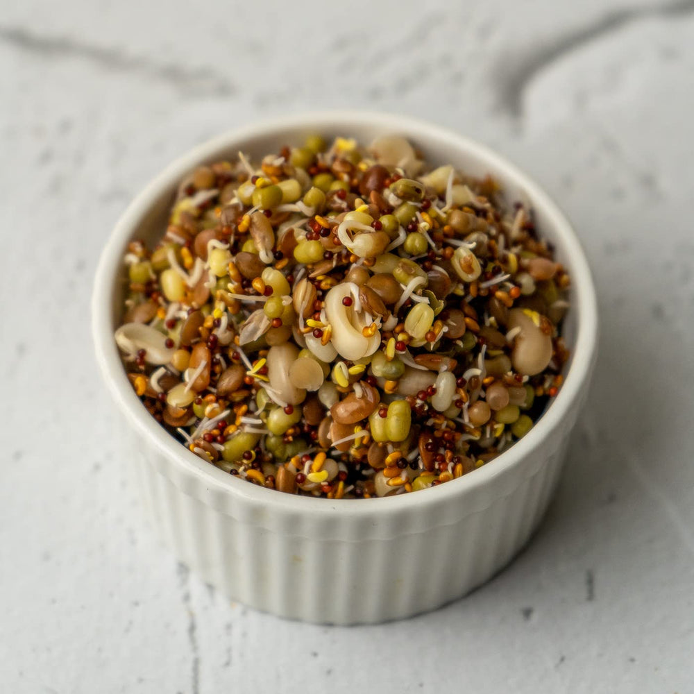 TBH SUPER SEVEN SPROUTS 95G - SuperMarcheStore