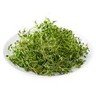 THYME - SuperMarcheStore